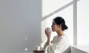 gaya hidup minimalis modern